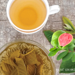 100% THÉ NATUREL DE FEUILLES DE GOYAVE SÉCHÉES DU VIETNAM - Product Image 6