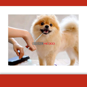 Removedor de Placa, Herramienta de Limpieza Dental, Palillos Dentales de Acero Inoxidable, Raspador Profesional para Higiene Bucal - Product Image 2