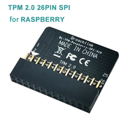 Chip de Seguridad TPM2.0 INFINEON SLB9670 de 26 Pines para Raspberry, Módulo de Plataforma Segura con Interfaz SPI, Módulo TPM 2.0 para Raspberry Pi