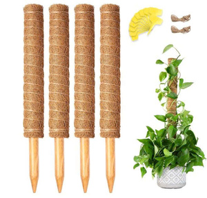 Bâton de mousse de coco pour plantes grimpantes, support empilable pour plantes, poteau totem, piquets en fibre de coco, base en bois - Product Image 1