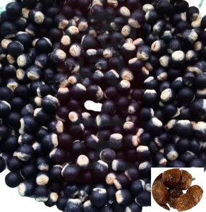 Graines de Sapindus Mukorossi pour l'extraction d'huile - Product Image 4