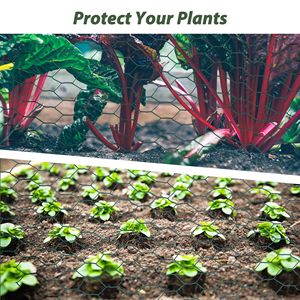 Rete Metallica Esagonale Zincata di Grandi Dimensioni per Polli e Giardini, Rete Anti-Ruggine in Ferro per Esterni - Product Image 5
