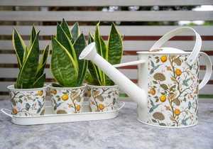 Regadera Metálica con Diseño de Mariquita y Margarita para Jardinería, Uso en Exteriores, Acabado Pintado Duradero - Product Image 2