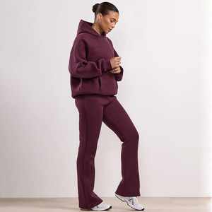 ODM Women's Winter Autumn Casual Fashion Long Sleeve Quick Dry Fleece Hoodie Sweat <b>Pants</b> Two Piece Gym Tracksuit Set for Women - Product Image 5