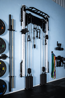 Equipo de Gimnasio en Casa para Garaje o Sótano, Rack Plegable Montado en Pared con Sistema de Cables para Entrenamiento de Fuerza, Ahorro de Espacio