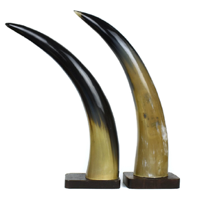 Buffalo Decorative Horn 2 Pieces Pair Design With Wood Base Stand Crafts Buffalo Horn <b>Decoration</b> - Product Image 1