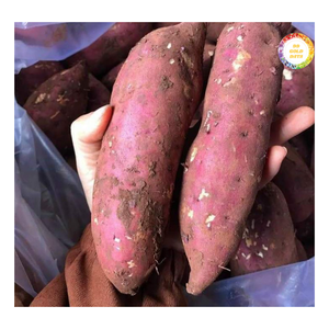 Bouquettes de patate douce surgelées saveur naturelle, préparation facile, ingrédient pour soupes, ragoûts, desserts, approvisionnement pour la transformation alimentaire - Product Image 5