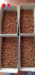 Anís estrellado entero, vainas de anís estrellado - 100% puro, Illicium Verum, Anis Estrella/ Ms. Lima - Product Image 6