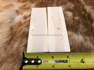 Échelles d'os balances de bélier manche de couteau pour la fabrication d'écailles d'os naturels par SANIYA HANDICRAFT - Product Image 4