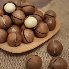 Vietnam Macadamia Nuts Shelled and Unshelled Premium Quality with Competitive Price and Rich Nutrition - Product Image 2
