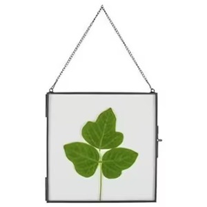 Creative Metal Glass Hanging Photo <b>Frame</b> <b>Wall</b> Display <b>Picture</b> <b>Frame</b> Home Decor - Product Image 1