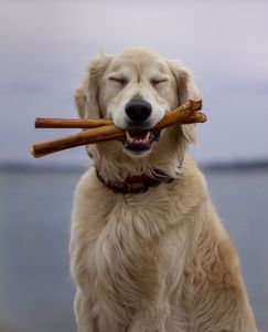 Mordedor para Perros de Madera de Café | PRODUCTO PARA LA LIMPIEZA DE DIENTES DE PERROS | JUGUETES NATURALES ECOLÓGICOS PARA MASCOTAS - Product Image 2