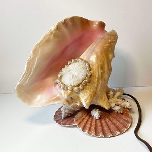 Modern coastal natural seashell table lamp various sizes sea <b>shell</b> <b>lighting</b> lamp best price - Product Image 1