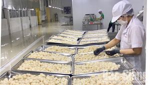 Litchis surgelés IQF du Vietnam – Fournisseur en gros VDELTA pour l'exportation - Product Image 3