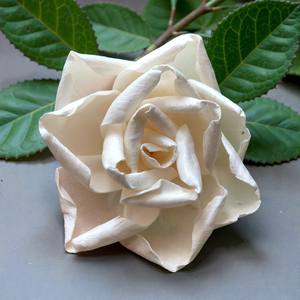 Flor de Sola Rosa Marfil, Flores de Madera de Sola de 8-8.5 CM, Varilla de Fibra Vegetal de Sesbania, Aromaterapia Hecha a Mano - Product Image 5