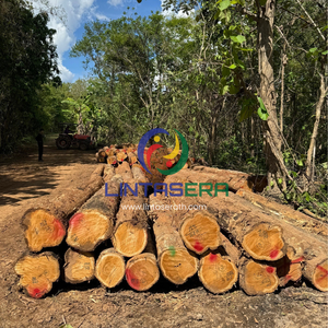 Premium Golden Teak Wood <b>Logs</b> from Thailand for Furniture Manufacturing Woodworking or Construction - Product Image 5