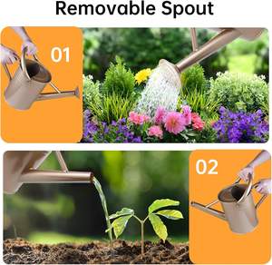 Arrosoir décoratif en cuivre pour plantes d'intérieur et d'extérieur avec bec amovible et doubles poignées - Product Image 6