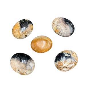 Pierre de palmier naturelle de qualité supérieure – Pierre de guérison polie à motif oculaire unique 45x35x15 mm - Product Image 3