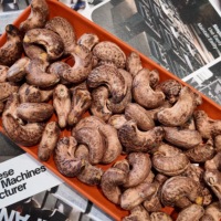 Vietnamesische Gesalzene Geröstete Cashewnüsse Klasse WW320 Bio Premium-Qualität USDA-Zertifiziert für Exportmärkte OEM / ODM Service