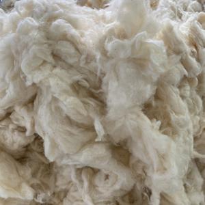 Algodón Combernoil Clean de alta calidad, marca Nithya, cantidad mínima 23 toneladas +/- 10. Contacte a la Sra. Kate +84387097963 - Product Image 2