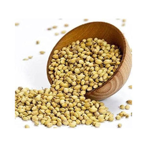 Semillas de Cilantro a Granel, Secas, Crudas, Naturales, Sin OMG, 25 kg, para la Industria de Especias y Uso Culinario - Product Image 4