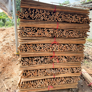 Mango de escoba recubierto de PVC de madera de eucalipto duradero respetuoso con el medio ambiente Suministro a granel de alta calidad Sin tornillo Buen precio Paquete de 30 piezas por paquete - Product Image 2