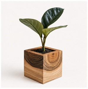 Wholesale Modern Eco-Friendly Square Wooden Planter <b>Box</b> for Indoor Plants Mango Wood Cube <b>Flower</b> Pot Customizable Size and Logo - Product Image 5