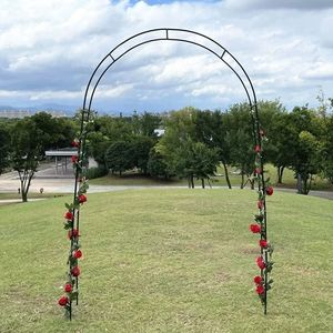 Arco da Giardino Regolabile in Metallo Nero 7FT X 4FT, Traliccio in Ferro per Supporto Piante Rampicanti da Esterno - Product Image 5