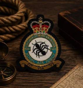 RAF-9006 Custom Embroidered Patch with Crown Eagle Design Lace Sew-On Fabric Badge Safety Pin for Garment Circular Style - Product Image 6