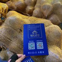 WAARDE VOOR HET GELD Verse half-ontdopte kokosnoot, schoon, veilig, exportkwaliteit voor kokoswater en desserttopping, rechtstreeks van de kokosnootbron.