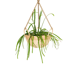 Pot de fleurs suspendu exquis en jacinthe d'eau du Vietnam, panier tressé artisanal pour la décoration de resorts, villas et patios, fabriqué au Vietnam - Product Image 1