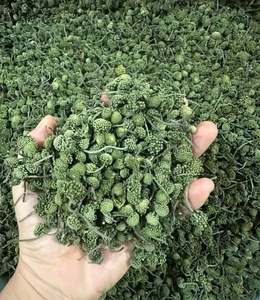 โสม Panax และดอก pseudoginseng ตากแห้งเพื่อสุขภาพ - Product Image 2