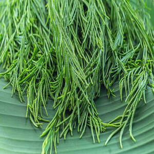 Poudre de Spiruline Pure Riche en Protéines 60% Algues Bleu-Vert Antioxydantes Perte de Poids Végétalien Sans OGM Sauvage Qualité Cosmétique Bouteille en Vrac - Product Image 4
