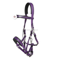 Ensemble de bridons d'équitation en PVC écologiques personnalisés en gros, haute qualité à prix de gros