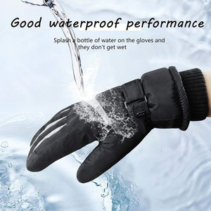 Wholesale Custom Logo Colors Men & <b>Women</b> <b>Ski</b> <b>Gloves</b> Waterproof & Windproof Touch Screen Non-Slip OEM Winter Unisex <b>Ski</b> <b>Gloves</b> - Product Image 5