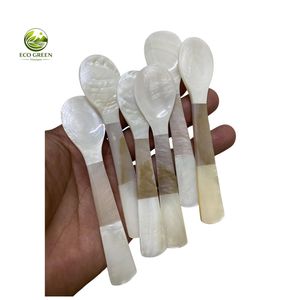 Cuchara de Concha de Nácar Moderna y Lujosa al por Mayor, Hecha a Mano, Plateada, Ecológica, Decorativa, de Concha Natural para Caviar - Product Image 4