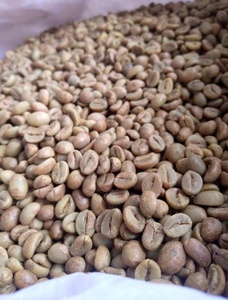 เมล็ดกาแฟอาราบิก้าออร์แกนิก เกรด 1 คุณภาพสูง แบบดิบและคั่ว บรรจุภัณฑ์แบบขายส่ง สำหรับคนรักกาแฟ ราคาขายส่ง - Product Image 1