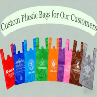 Sac à soufflets latéraux en plastique PE biodégradable et écologique, imprimé sur mesure, avec poignée longue, sérigraphie et gravure