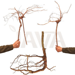 Decoración Ecológica de Madera de Araña Dorada para Acuarios, Terrarios y Vivarios, para Peces, Caracoles y Tortugas, 40 cm - Product Image 3