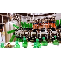 Hoogwaardige 330ml biologische kokoswater- en fruit-groentesap in blik, zonder suiker en conserveermiddelen, gecertificeerd Vietnam