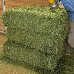 Heno de Alfalfa y Heno de Timothy de Calidad de Exportación, la Mejor Alimentación para Animales en Pakistán, Precios al por Mayor - Product Image 1