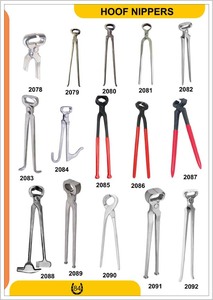 Kit d'outils vétérinaires professionnels et durables pour le soin des sabots des chevaux, outils de ferrage, entretien des sabots, soins des chaussures, animaux de grande taille, acier inoxydable - Product Image 2
