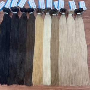 TOP HAIR VENDOR Extensions de cheveux tissées à la machine, toutes couleurs, Cheveux humains du Vietnam, sans perte ni nœuds - Product Image 1