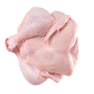 Pollo Entero Congelado de Primera Calidad, Halal, Proceso de Congelación IQF, Envasado al Vacío, Precio Económico, Venta al por Mayor, Entrega Rápida, Frescura Garantizada - Product Image 2