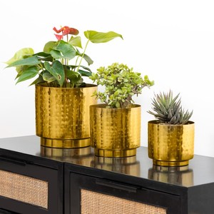 Set of 3 Gold Hammered Metal Planters | Decorative Indoor Plant <b>Pots</b> for <b>Succulents</b> Flowers & Modern Home Decor - Product Image 3