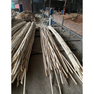 Varas de Ratán, Cañas de Ratán, Distribución al por Mayor con Precio Competitivo, Cañas para Producción Artesanal - Product Image 5
