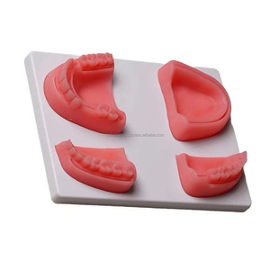 Modelo de Entrenamiento de Sutura Oral Dental, Kit de Práctica de Encías de Silicona Suave para Estudiantes de Hospitales y Veterinarios, Proveedor Mayorista - Product Image 3