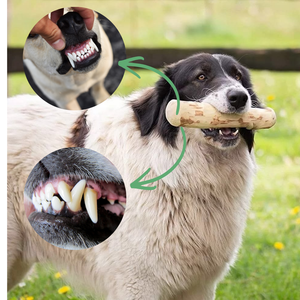 Jouet à mâcher pour chien en bois de café pour chiots et chiens adultes, produit écologique naturel pour animaux de compagnie, jouets tendance - Product Image 2