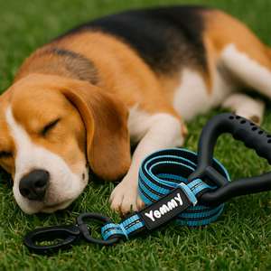 Guinzagli per Animali Domestici Yommy con Impugnatura Ergonomica in Nylon Riflettente, Kit Multicolore 4 Colori - Product Image 5