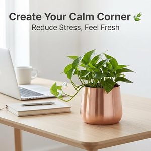 Maceta de Metal Hecha a Mano, Moderna, para Plantas de Interior, Decorativa, para Hogar, Oficina, Sala de Estar, Jardín - Product Image 5